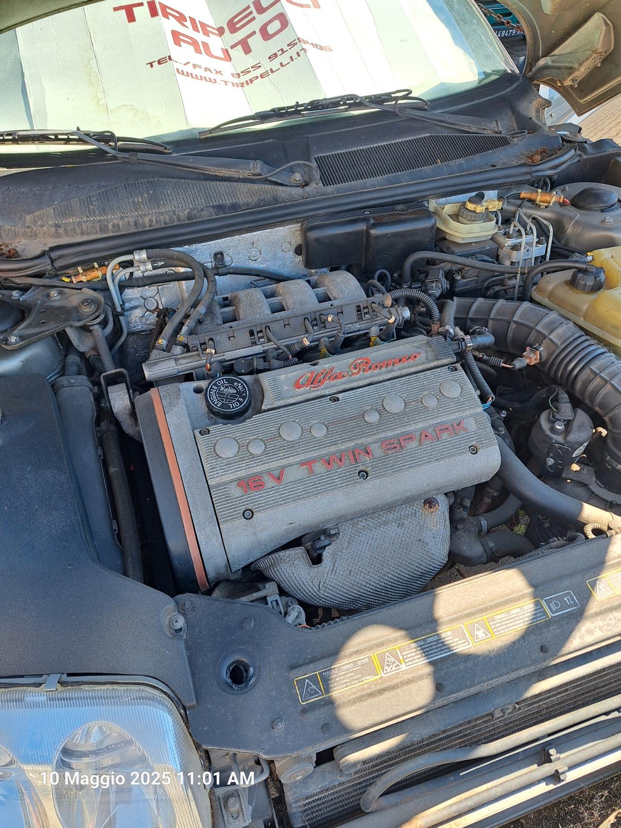 Alfa Romeo Spider Gtv spider