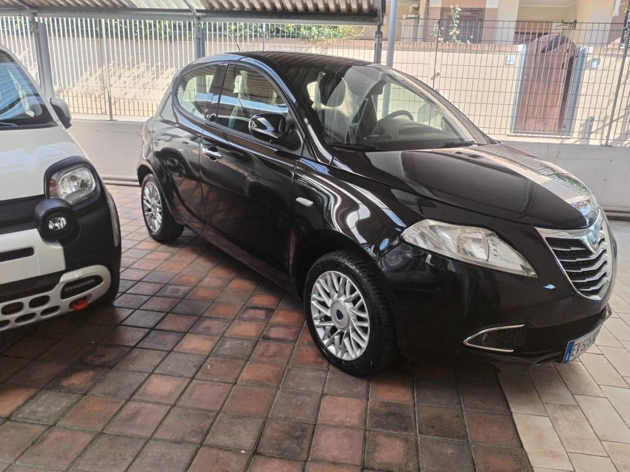 Lancia Ypsilon 1.3 MJT 16V 95 CV 5 porte S&S Platinum