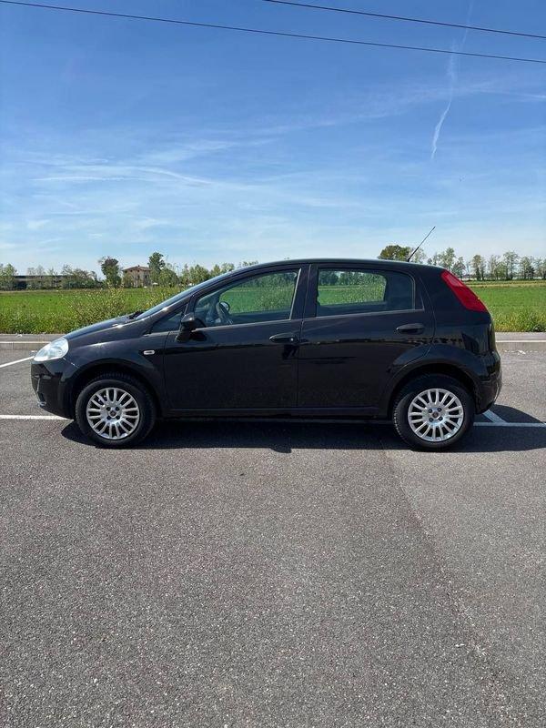 FIAT Punto NEOP. 1.4 8V 5 porte Natural Power Street