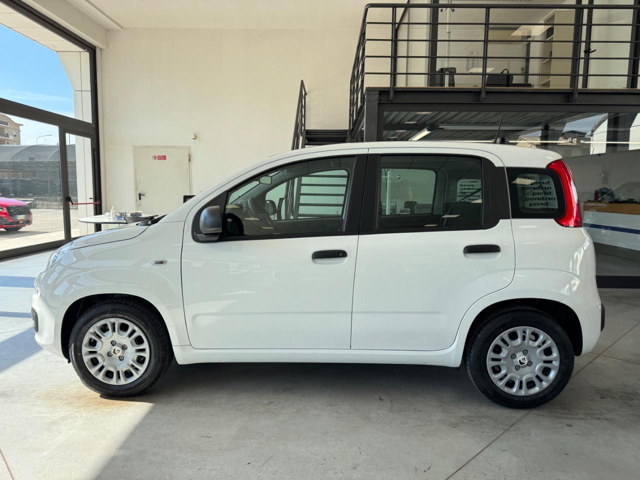 Fiat Pandina 1.0 firefly hybrid Icon s&s 65cv
