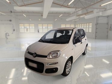 FIAT Panda 1.2 Easy easypower Gpl 69cv my19