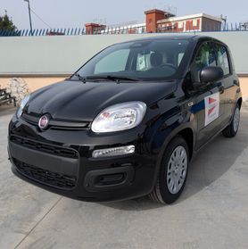 Fiat Panda Pandina 1.0 FireFly 65 CV Hybrid Icon