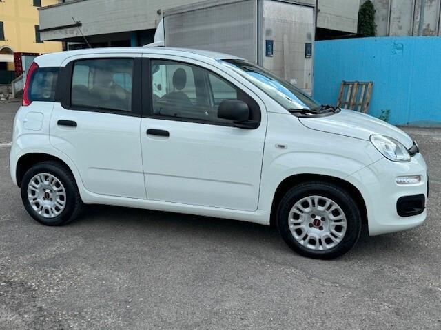 Fiat Panda 1.2 Easy iva esposta 5 posti