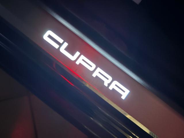 CUPRA Formentor 2.0 TDI 150 CV 4Drive DSG