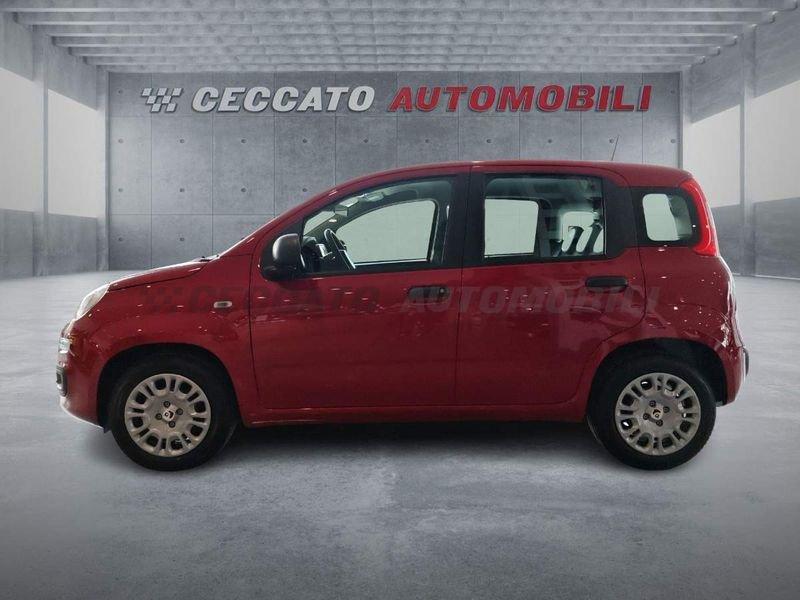 FIAT Panda Panda 1.0 firefly hybrid s&s 70cv