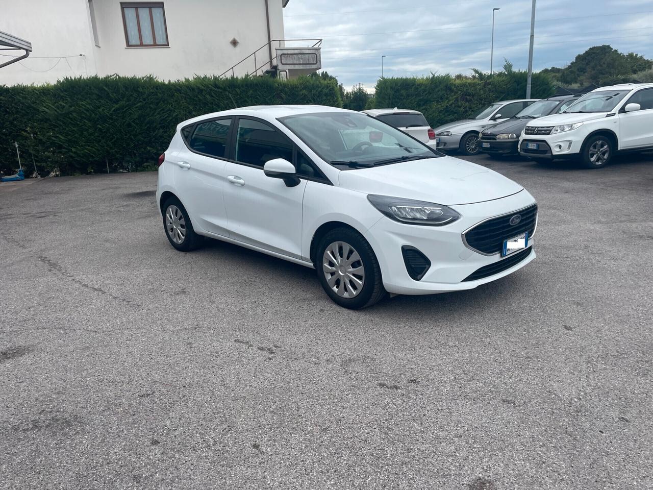 Ford Fiesta 1.1 75 CV 5 porte Business