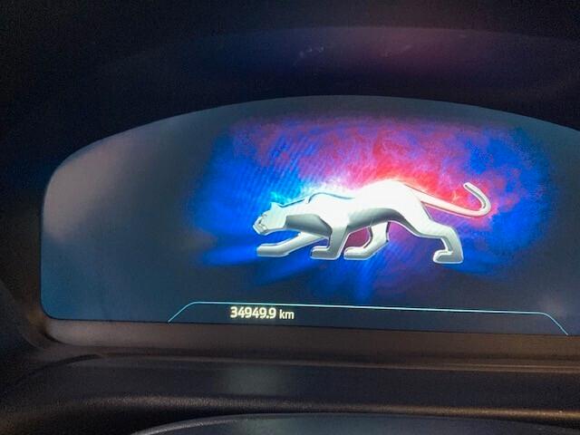 Ford Puma 1.0 EcoBoost Hybrid 125 CV S&S ST-Line