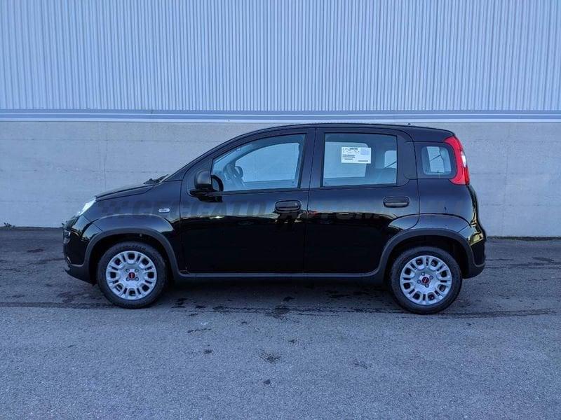 FIAT Panda My23 1.0 70cv Hybrid Panda