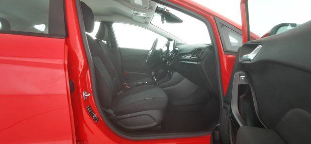 FORD Fiesta 1.5 EcoBlue 5 porte Plus