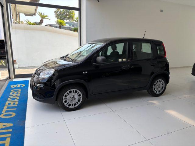 FIAT Panda 1.0 FireFly S&S Hybrid Pandina da ?139,00 mensili