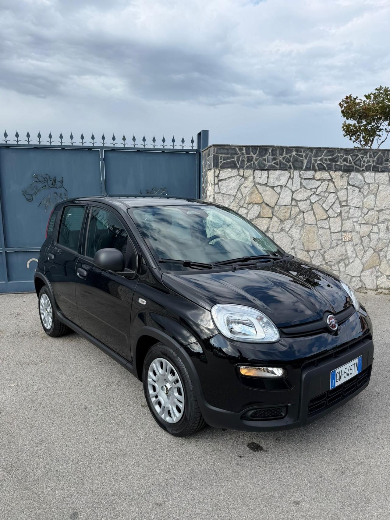 Fiat Panda 1.0 FireFly S&S Hybrid Pandina