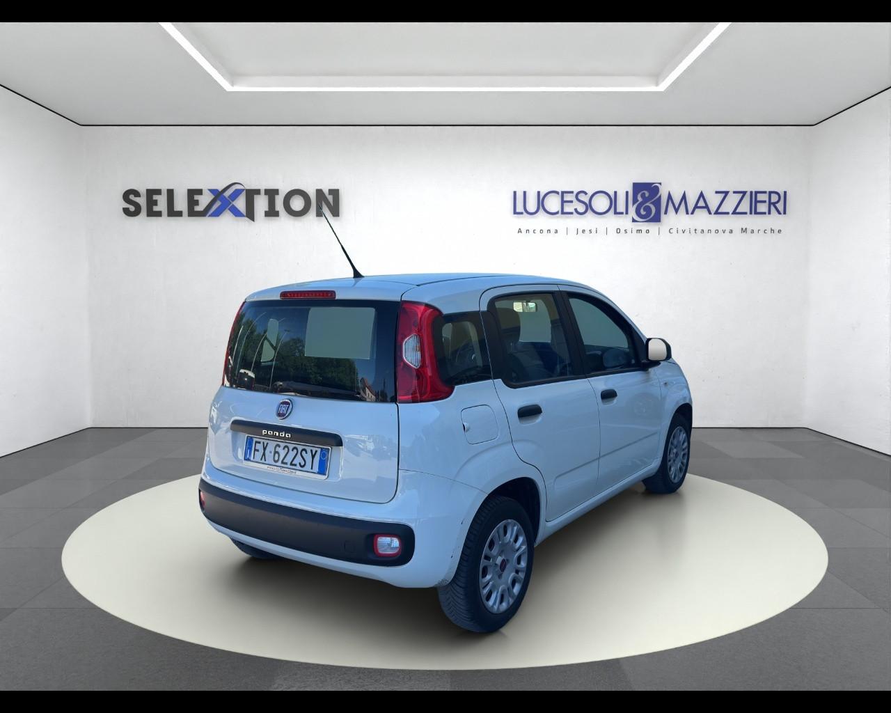 FIAT Panda 3ª serie - Panda 1.2 Easy