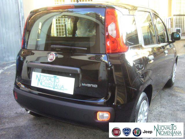 FIAT Panda 1.0 FireFly S&S Hybrid Pop Km0 Pronta Consegna