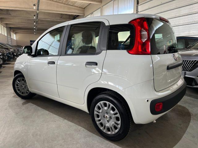 FIAT Panda 1.0 FireFly Hybrid Icon Pandina /PACK CITY+PARK