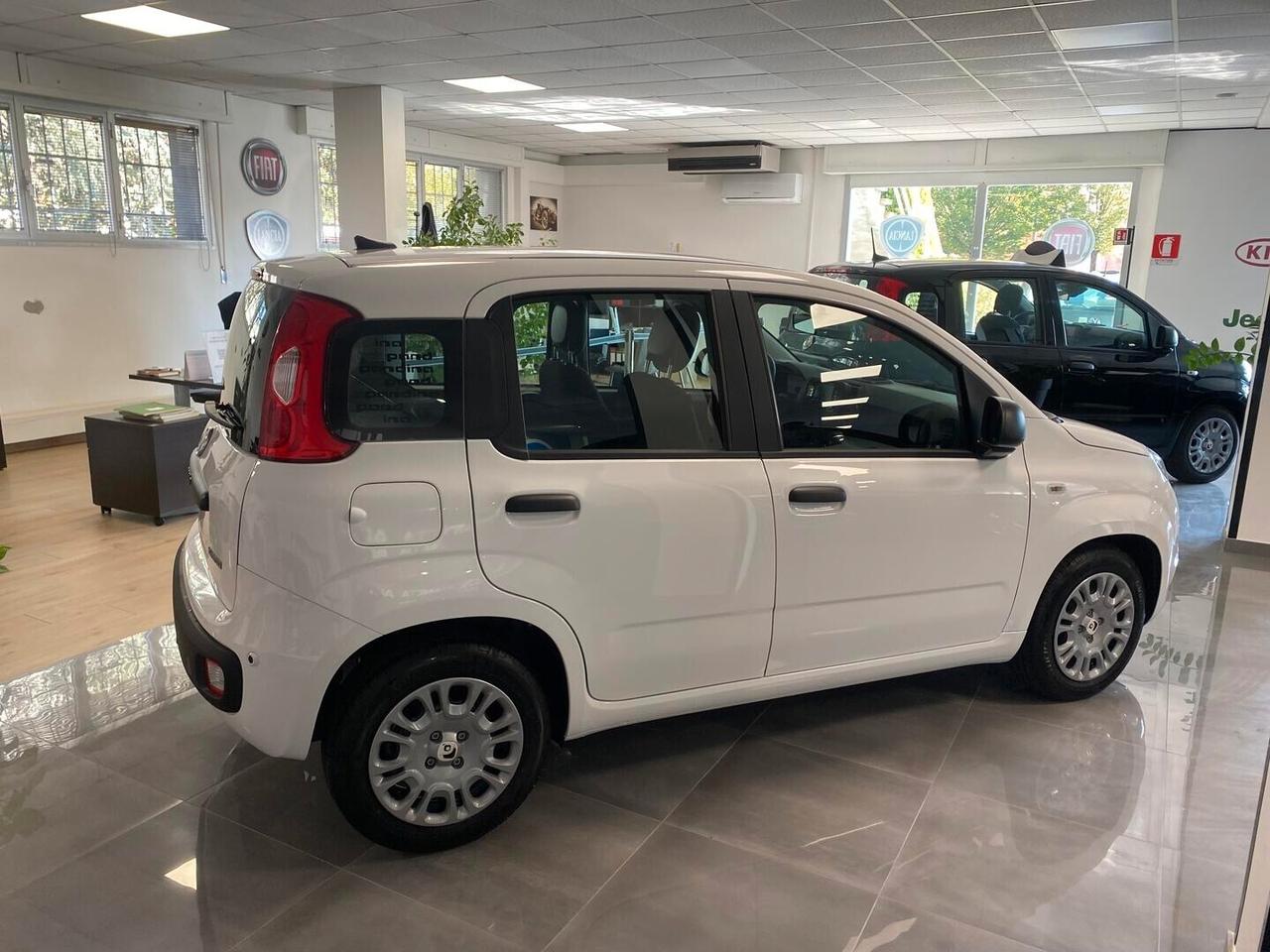 Fiat Panda Icon 1.0 Hybrid 65cv -KMO 2026