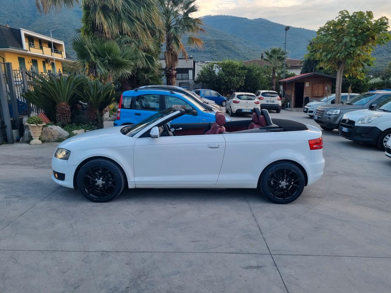 Audi A3 Cabrio 2.0 TDI F.AP. Ambition - 2009