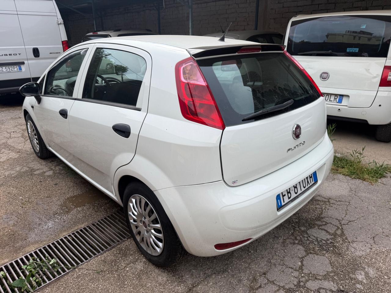 Fiat Punto 1.2 8V 5 porte Lounge