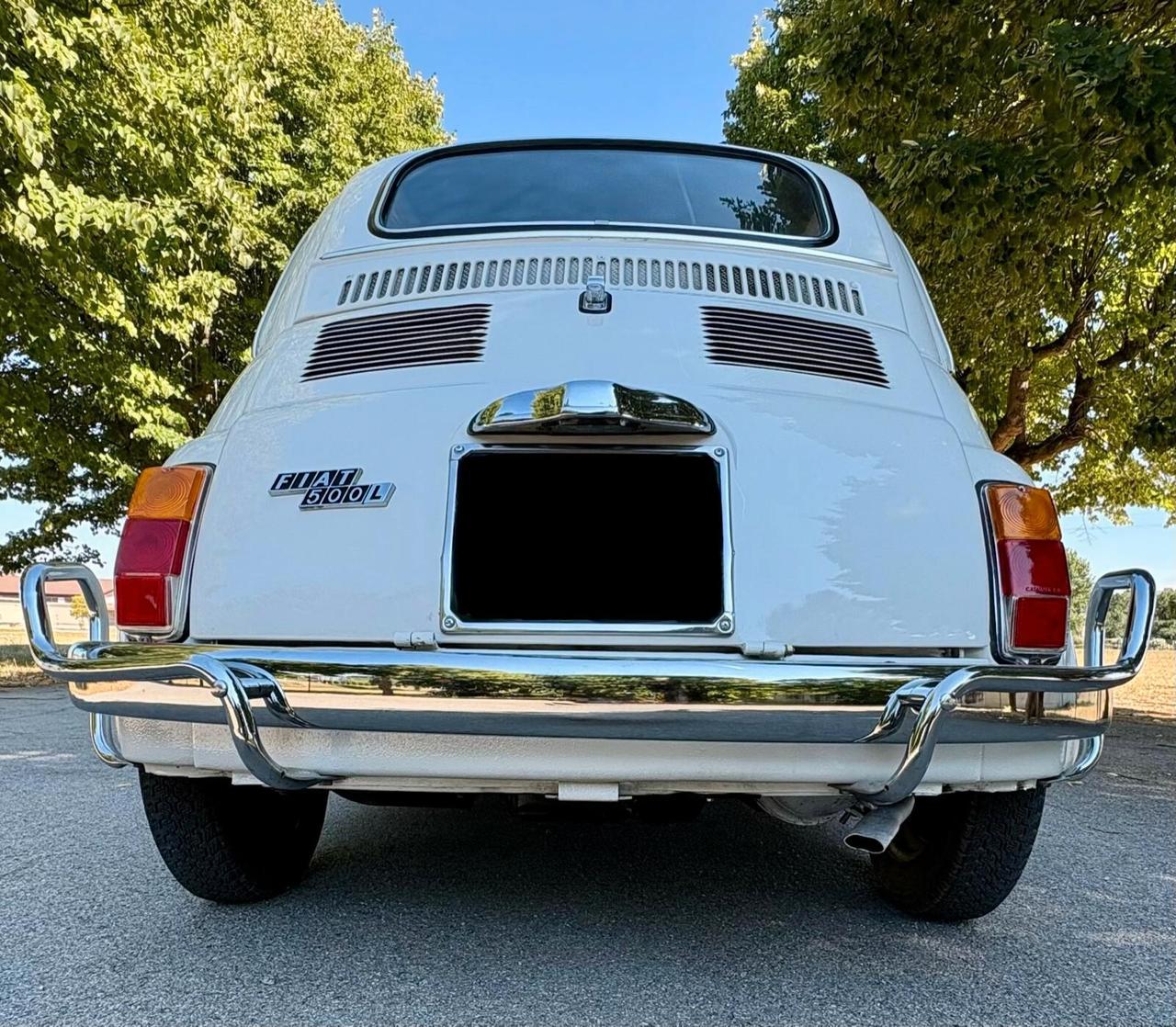 Fiat 500L ( 110 F )