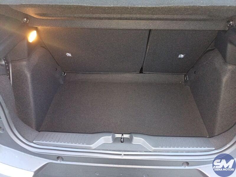 Citroën C3 C3 PureTech 100 S&S Plus