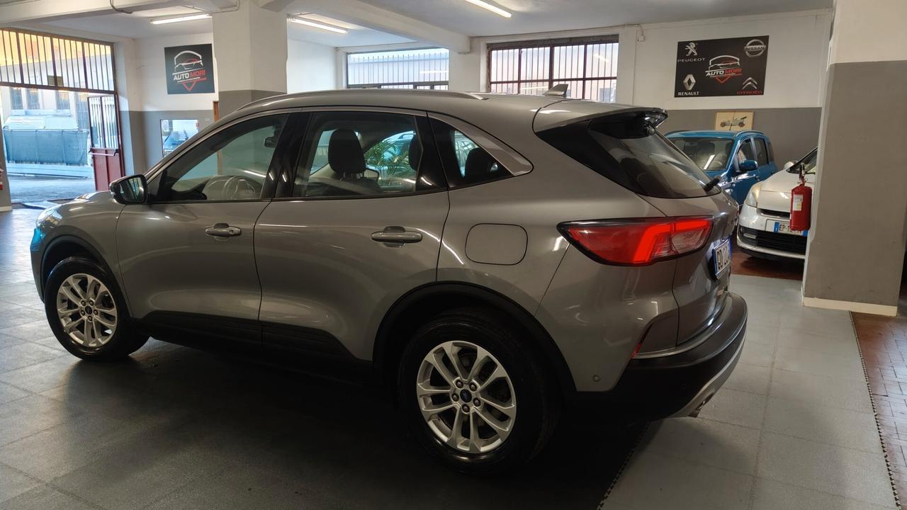 Ford Kuga 1.5 EcoBlue 120 CV aut. 2WD Titanium Business
