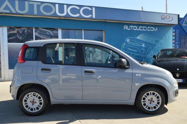 FIAT Panda 1.0 FireFly S&S Hybrid 70 CV