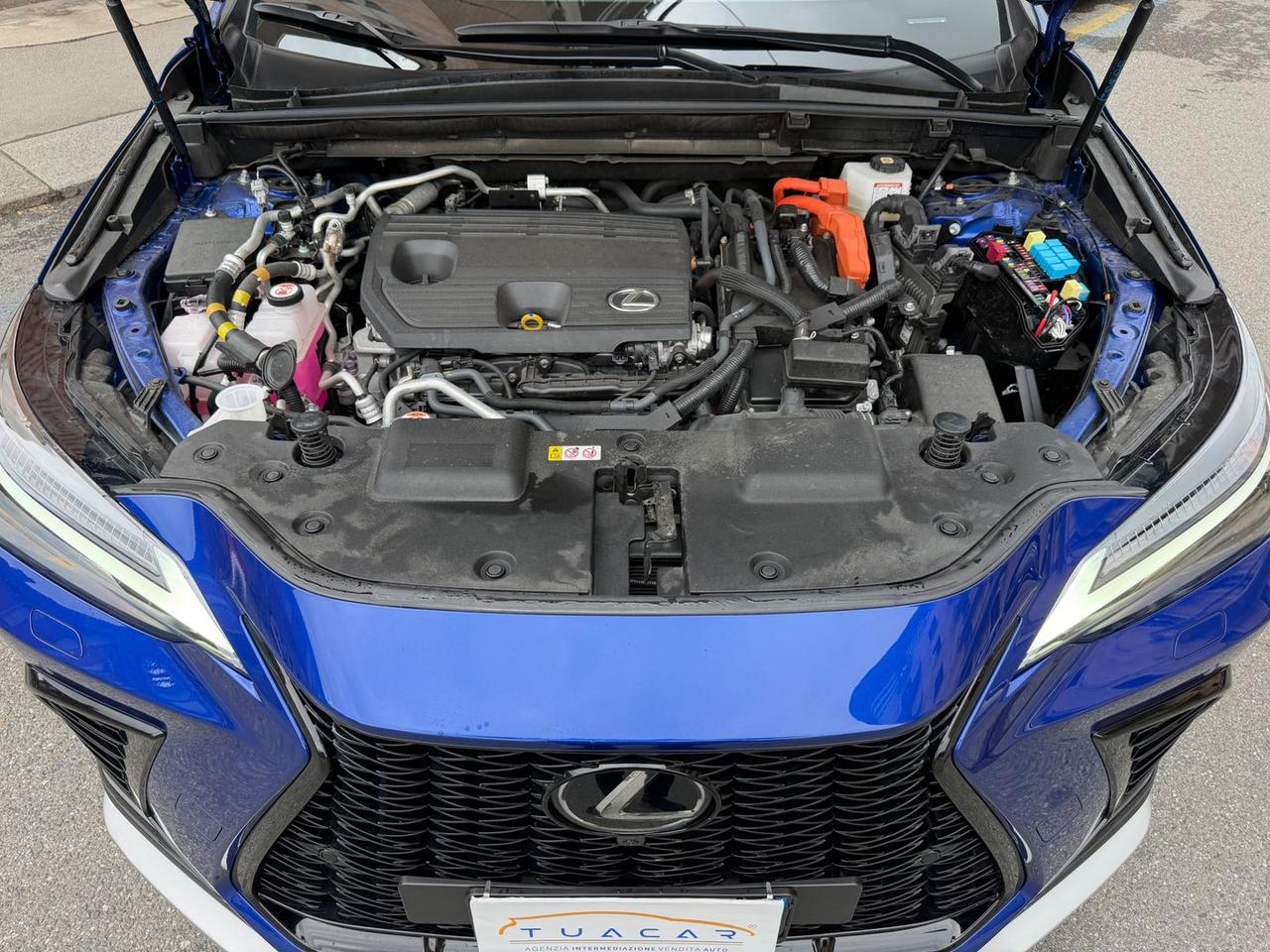 Lexus NX 450h+ PHEV F Sport #10724
