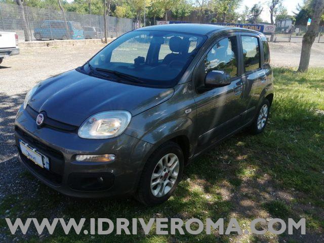 FIAT Panda 1.2 LOUNGE plus +GPL "DIVERSI COLORI IN SEDE"