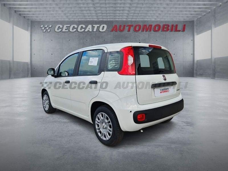 FIAT Panda Panda 1.0 70cv Hybrid Pop