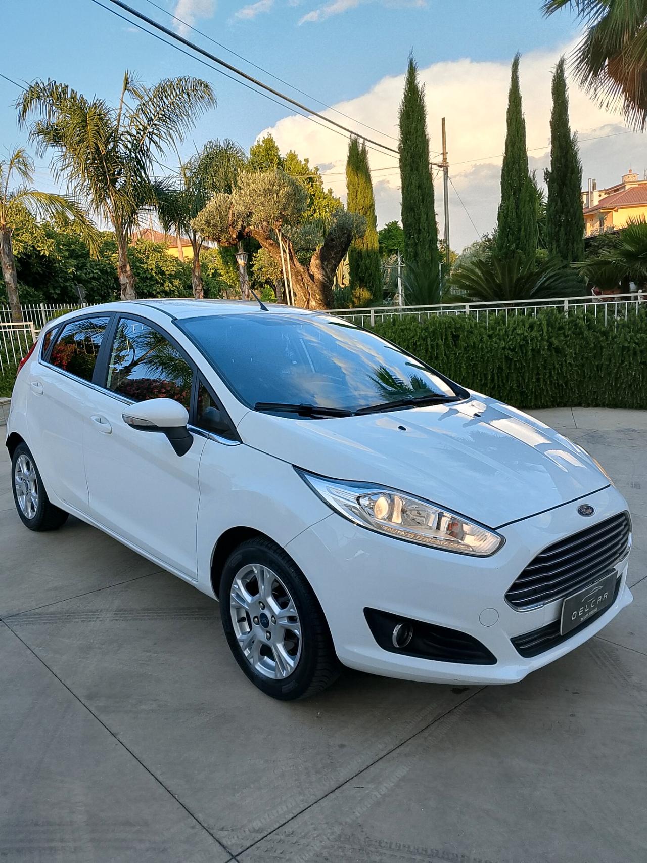 Ford Fiesta 1.4 5 porte Bz.- GPL Black & White Edition