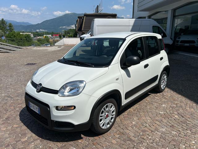 FIAT Panda 1.0 FireFly S&S Hybrid City Life van 4 posti + iva