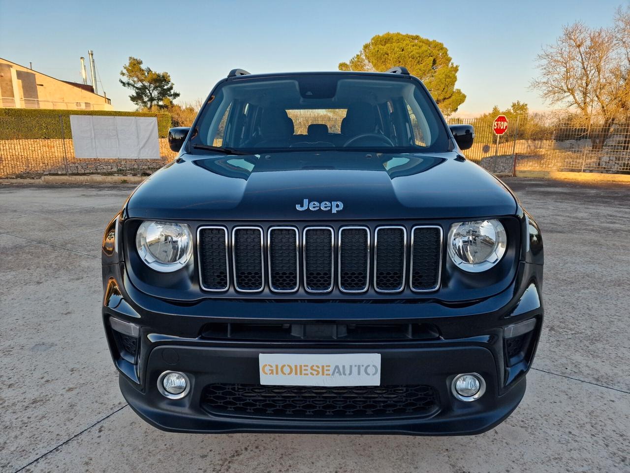 Jeep Renegade 1.6 Mjt 120 CV Longitude