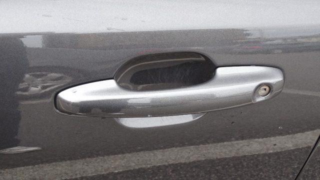 FORD Focus 1.5 EcoBlue 120 CV, automatica, Garanzia..