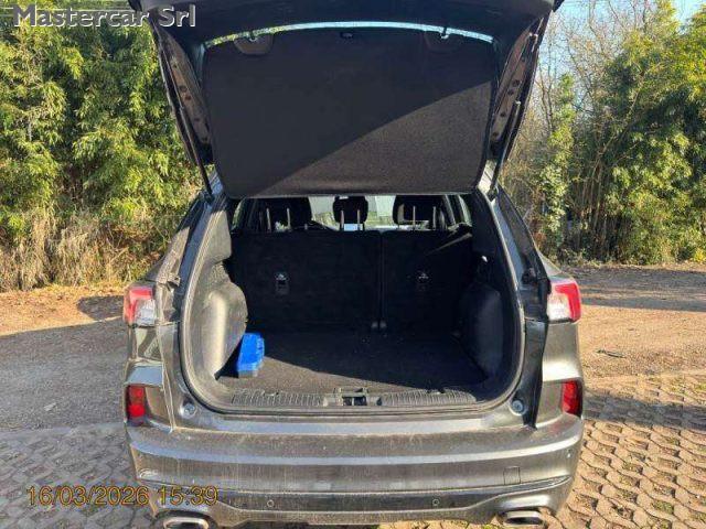 FORD Kuga Kuga 1.5 ecoblue ST-Line 2wd 120cv Auto - GJ998JE
