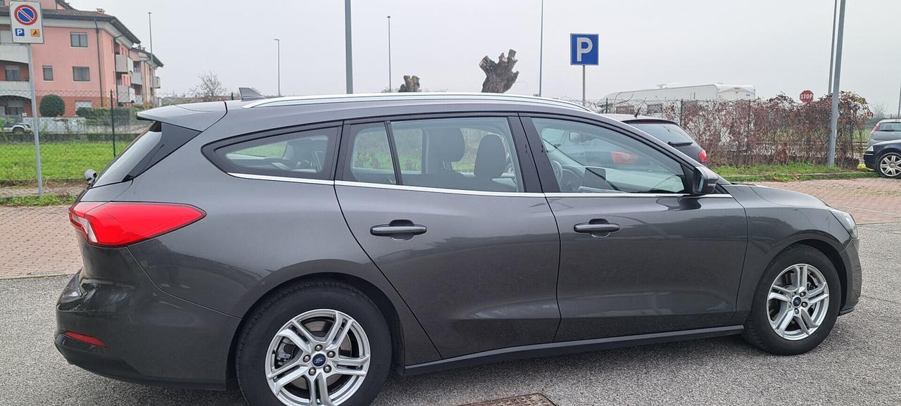 Ford Focus 1.5 EcoBlue 120 CV automatico SW Business Co-Pilot