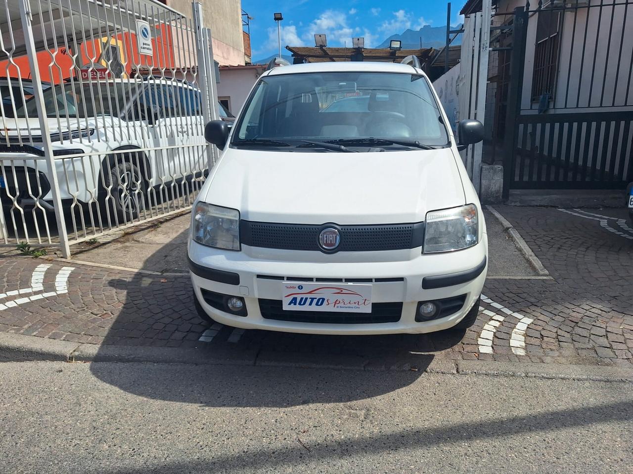 Fiat Panda 1.4 Natural Power Van Active 2 posti