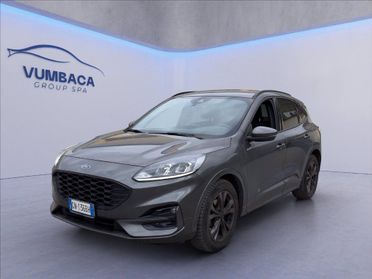 FORD Kuga 2.0 ecoblue ST-Line 2wd 120cv auto del 2023
