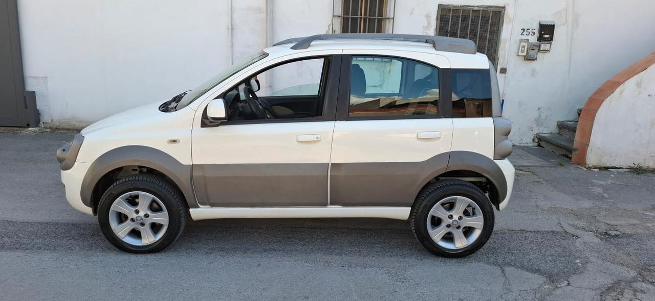 2011 Fiat Panda 1.3 MJT 16V DPF 4x4 Climbing