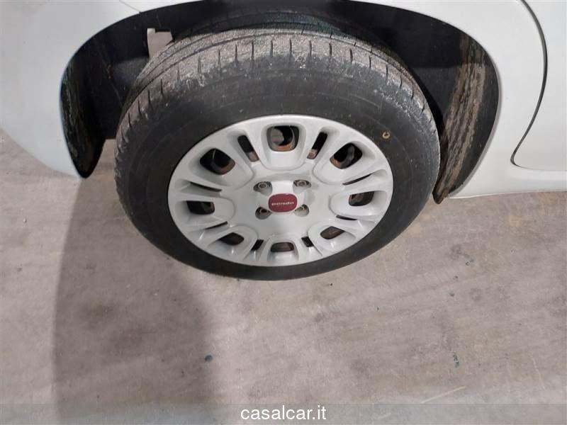 FIAT Panda FIAT PANDA 1.2 Easy 3 ANNI GARANZIA KM ILLIMITATI PARI ALLA NUOVA