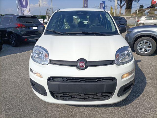FIAT Panda 1.0 FireFly S&S Hybrid PREZZO REALE
