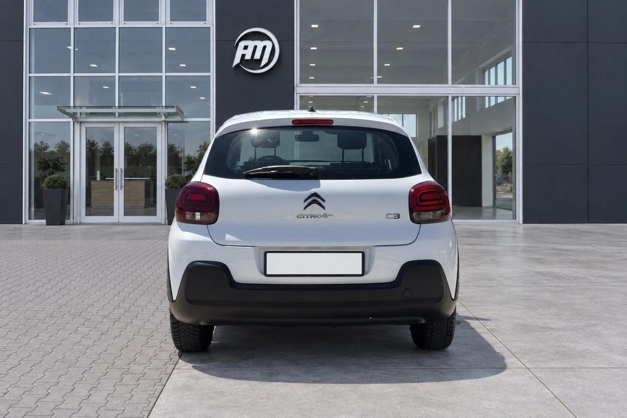Citroen C3 1.5 100cv van 2 posti