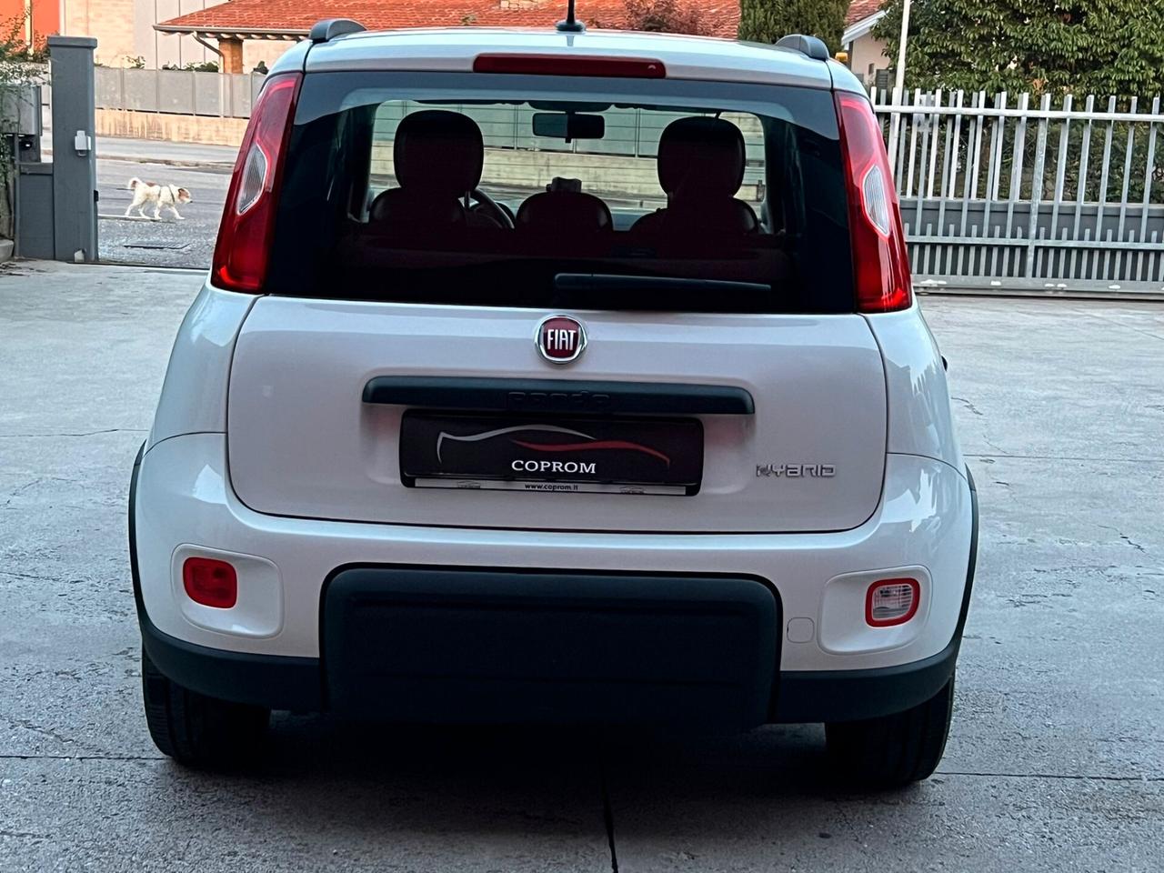 Fiat Panda 1.0 HYBRID 70 CV CITYLIFE - *PROMOZIONE*