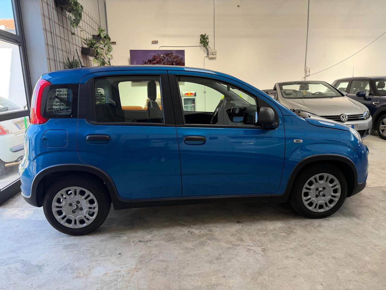 Fiat Panda 1.0 FireFly S&S Hybrid Pandina