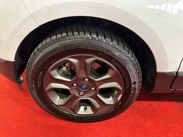 FORD - EcoSport 1.5 tdci Plus s&s 100cv NEOPATENTATI