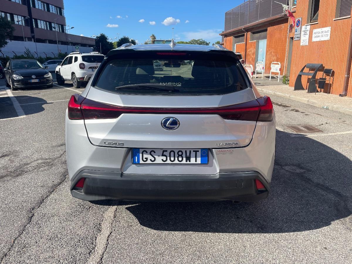 LEXUS - UX 250 - Hybrid F Sport