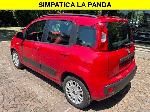 FIAT Panda 1.2 Benzina Neopatentati