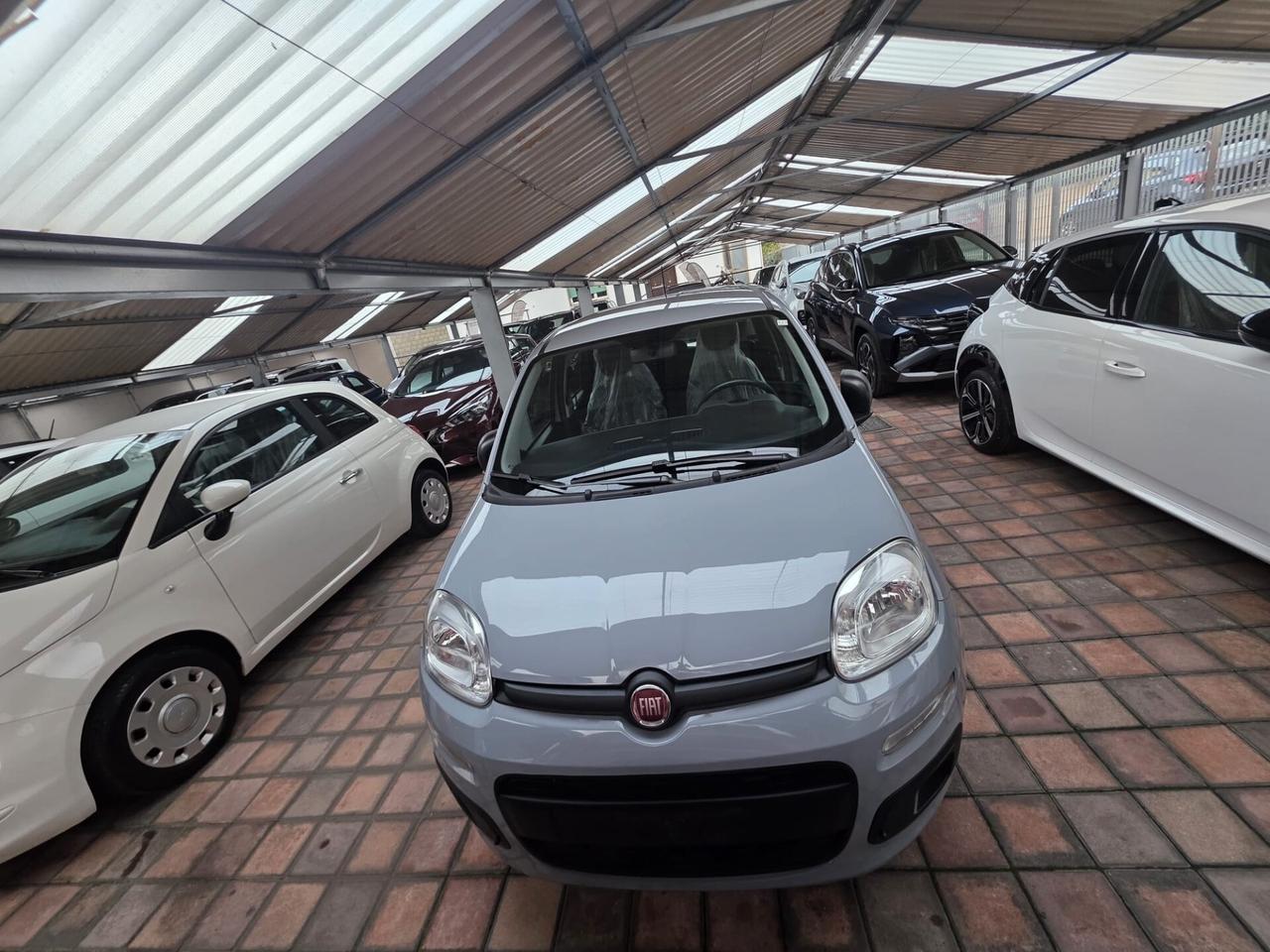 AUTO IN ARRIVO Fiat Panda 1.0 FireFly S&S Hybrid