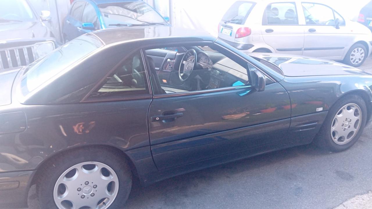 Mercedes-benz SL 300 SL-24 cat