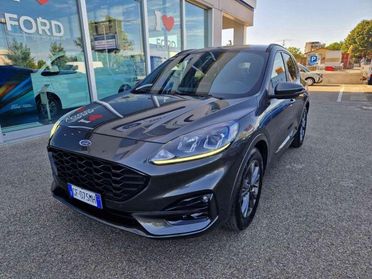 FORD Kuga 1.5 EcoBlue 120 CV 2WD ST-Line