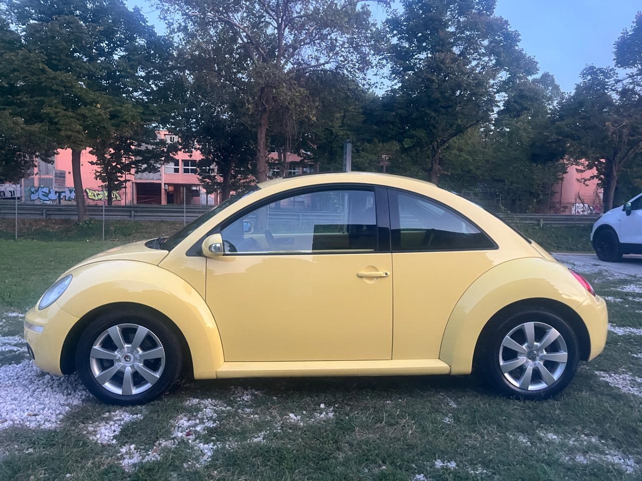 Volkswagen New Beetle 1.9 TDI 105CV