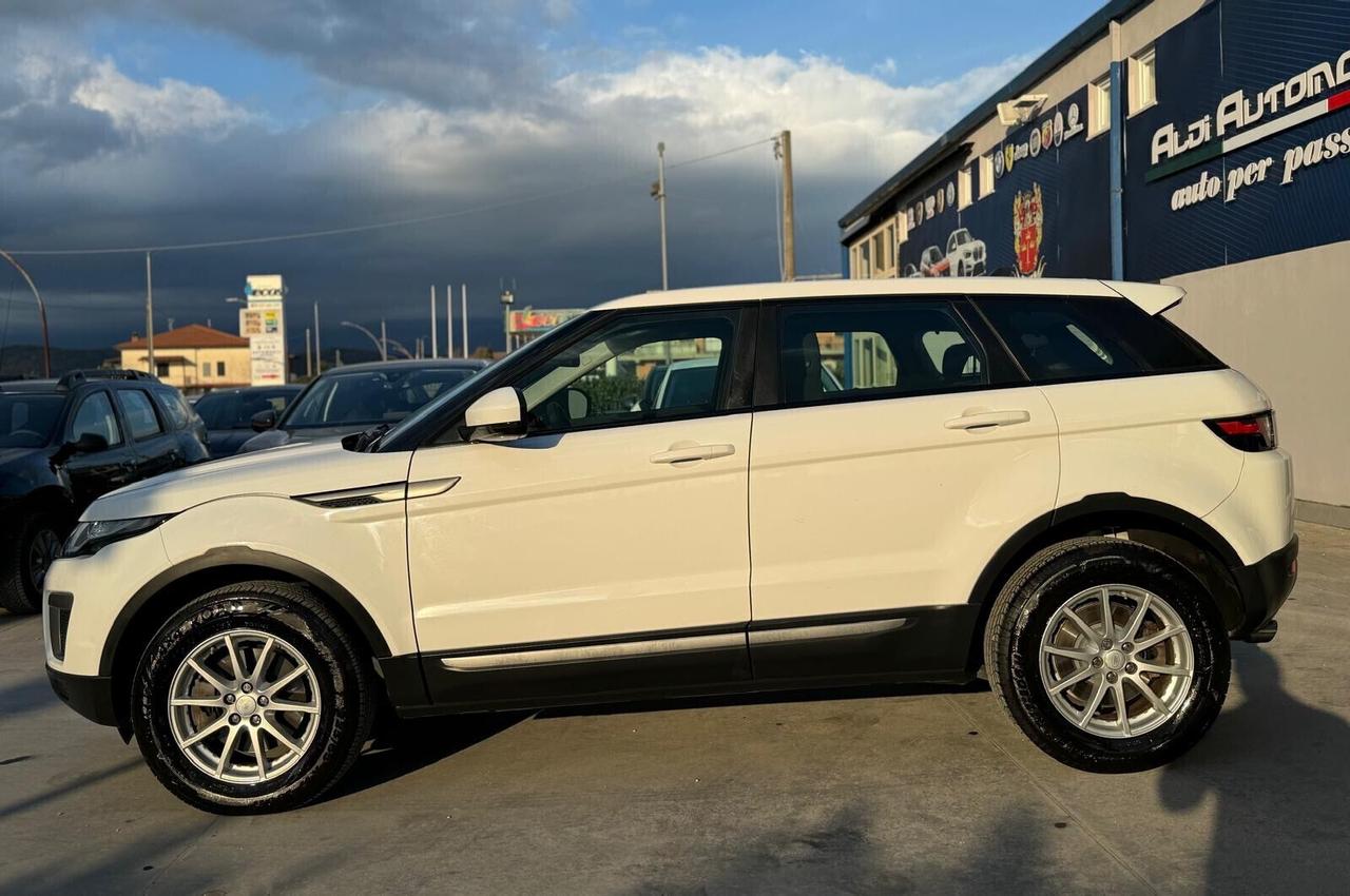 Land Rover Range Evoque 2.0 TD4 150 CV 5p. Business Edition Pure
